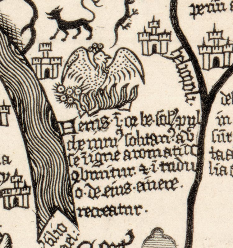 The phoenix in its fire, beside Arabia; Nordenskiöld translated the legend below it as the bird that burns itself in an aromatic fire and is reborn from its ashes.