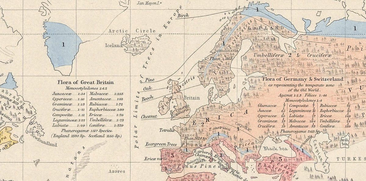 Polarne granice drzew w Europie: linie dla brzozy, sosny, dębu, buka, kasztanowca i drzew zimozielonych, z tabelami flory Wielkiej Brytanii oraz Niemiec i Szwajcarii