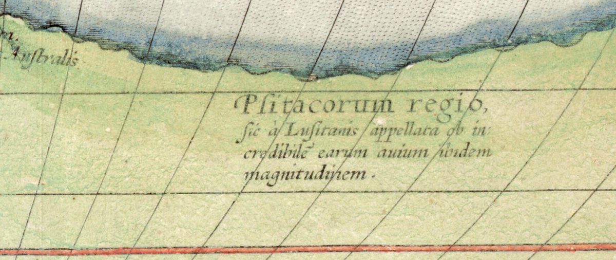 Psitacorum regio, la región de los loros, en el continente austral del mapamundi de Ortelius de 1570
