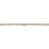 Detail at full size: the title banner Nova totivs terrarvm orbis