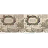Blaeu's world map before and after restoration