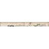 Detail at full size: the title banner Nova totius terrarum orbis