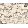 Detail at full size: Africa and the graticule