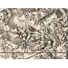 Antique Star Chart 1708 — Coelistellati Christiani — detail 3: constellations centre