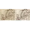 Antique World Map 1799 — Chart of the World — before and after restoration