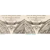Antique Moon Map c. 1702 — Doppelmayr, Tabula Selenographica — before and after restoration