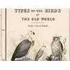 Antique World Map 1848 — Johnston, Zoological Geography — detail 3: birds old world