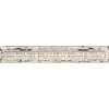 Antique World Map 1579 — Ortelius, Typus Orbis Terrarum — detail 2: cicero cartouche hogenberg v0925