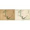 Antique World Map 1858 — Minard, Emigrants of the Globe — full sheet before and after restoration