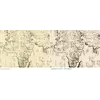Antique World Map c. 1508 — Egerton Portolan Atlas, Plate 14 — before and after restoration