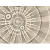 Antique Star Chart 1708 — Planisphaerium Copernicanum — detail 4: sun centre