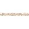 Antique World Map 1550 — Münster, Typus Orbis Universalis — detail 1: title