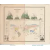 Stara mapa świata ok. 1845 — Johnston, geografia roślin — cały arkusz przed i po restauracji