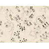 Chinese Constellation Map 1601–1633 — Fen ye yu tu Manuscript — detail 4: southern asterisms