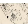 Chinese Constellation Map 1601–1633 — Fen ye yu tu Manuscript — detail 5: star grid asterism