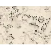 Chinese Constellation Map 1601–1633 — Fen ye yu tu Manuscript — detail 6: dense drawing 1to1