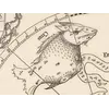 Antique Constellation Map 1515 — Dürer, Imagines coeli Meridionales — detail 5: cetus sea monster