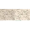 Antique Constellation Chart 1829 — Reissig, St Petersburg — before and after restoration