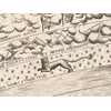 Antique Celestial Map 1593 — Van Aelst, Spheres of Heaven — detail 6: lion fixed stars 1to1