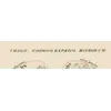 Oude wereldkaart 10e eeuw — Istakhri en Ibn Hawqal, Lelewel 1852 — detail 1