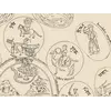 Oude wereldkaart 10e eeuw — Istakhri en Ibn Hawqal, Lelewel 1852 — detail 5