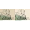 Antique World Map 1848 — Johnston, Botanical Geography — before and after restoration
