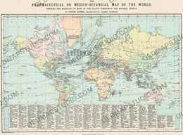 Antique World Map 1870 by George Barber — the pharmaceutical or medico-botanical map of the world, full sheet