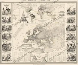 Antique World Map 1848 — Johnston, Zoological Geography