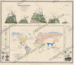 Stara mapa świata ok. 1845 — Johnston, geografia roślin