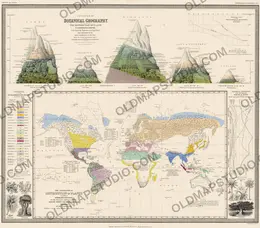 Alte Weltkarte 1848 — Johnston, Pflanzengeographie