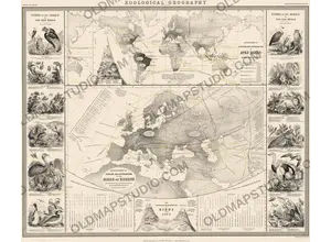 Antique World Map 1848 — Johnston, Zoological Geography