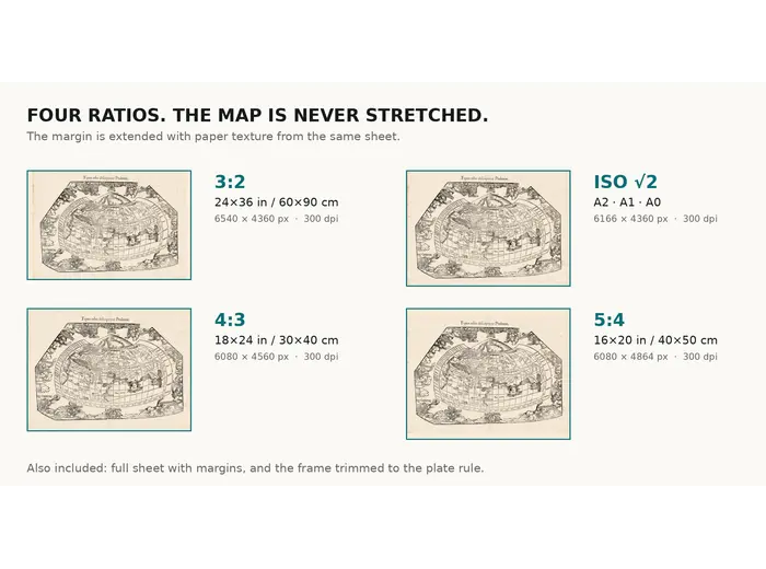 How large the Fries world map prints at 300 dpi