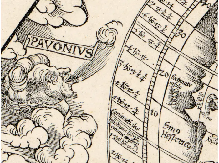 Detail at full size: the wind head Pavonius in the border
