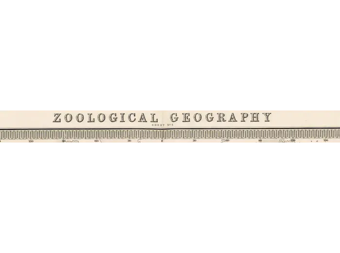Antique World Map 1848 — Johnston, Zoological Geography — detail 1: title banner