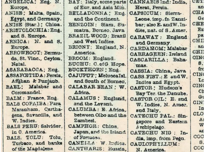 Detail at 1:1 — the table of drugs of the Materia Medica printed below the map
