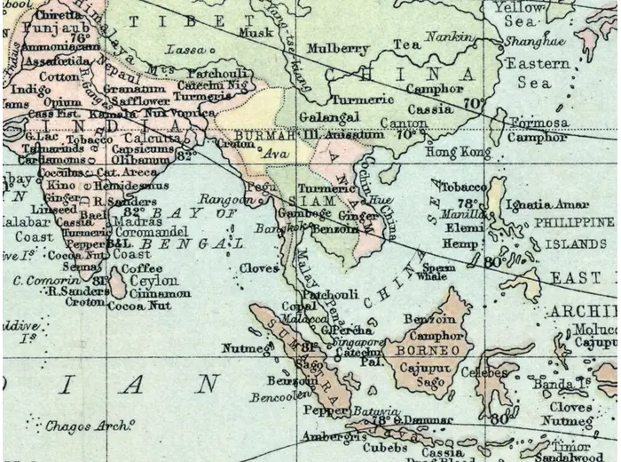 Detail at 1:1 — India and the East Indies with the plants of the Materia Medica