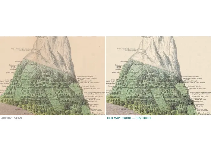 Stara mapa świata ok. 1845 — Johnston, geografia roślin — przed i po restauracji
