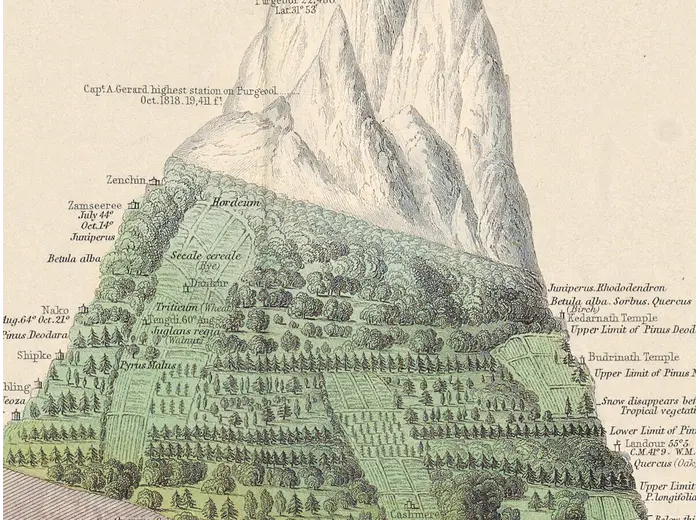 Stara mapa świata ok. 1845 — Johnston, geografia roślin — detal 3