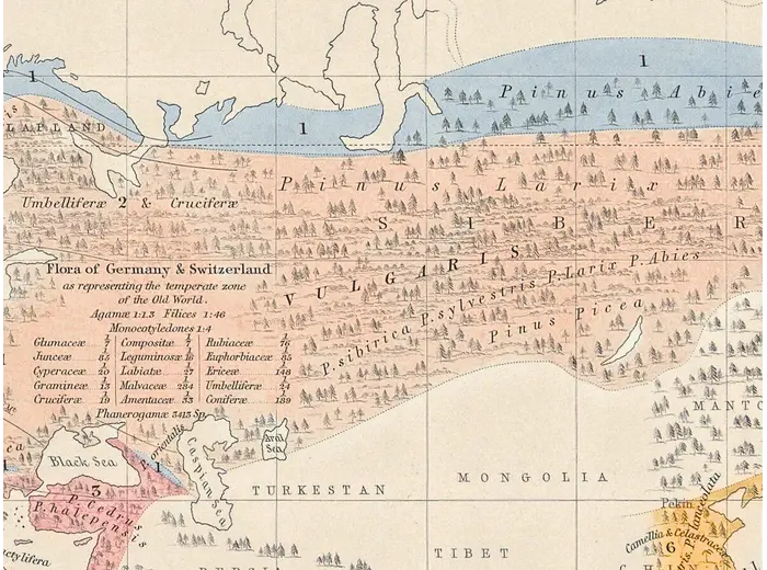Stara mapa świata ok. 1845 — Johnston, geografia roślin — detal 4