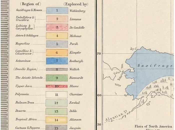 Stara mapa świata ok. 1845 — Johnston, geografia roślin — detal 6