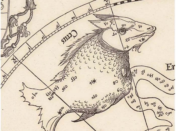 Antique Constellation Map 1515 — Dürer, Imagines coeli Meridionales — detail 5: cetus sea monster