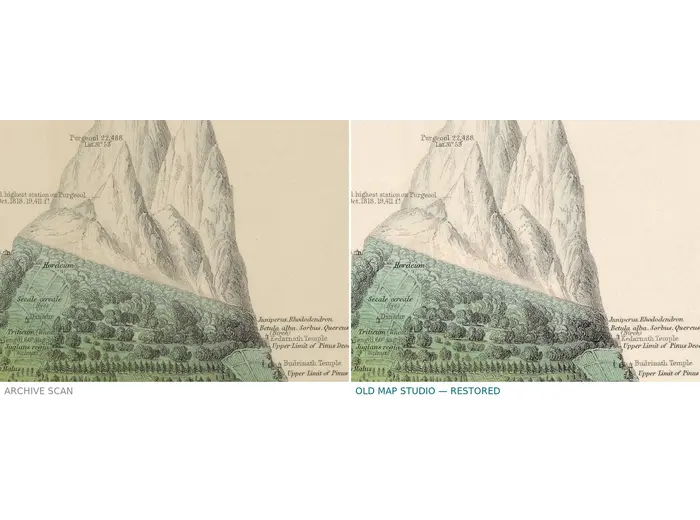Antique World Map 1848 — Johnston, Botanical Geography — before and after restoration
