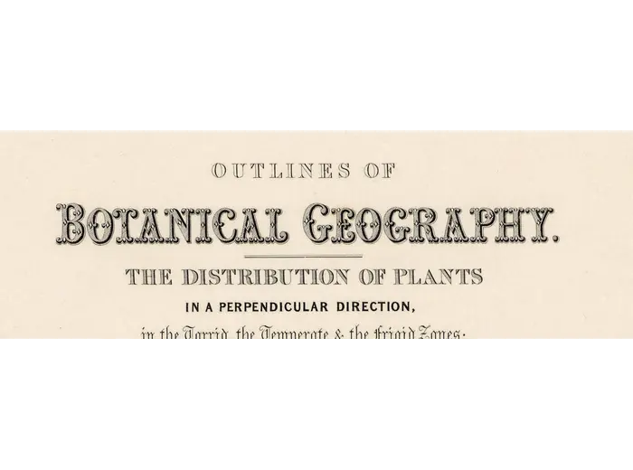 Antique World Map 1848 — Johnston, Botanical Geography — detail 1: title botanical geography