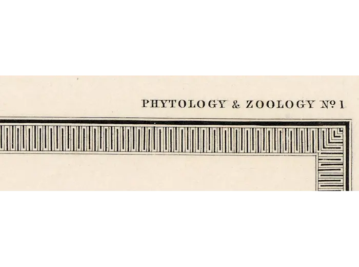 Antique World Map 1848 — Johnston, Botanical Geography — detail 2: physical atlas plate no1