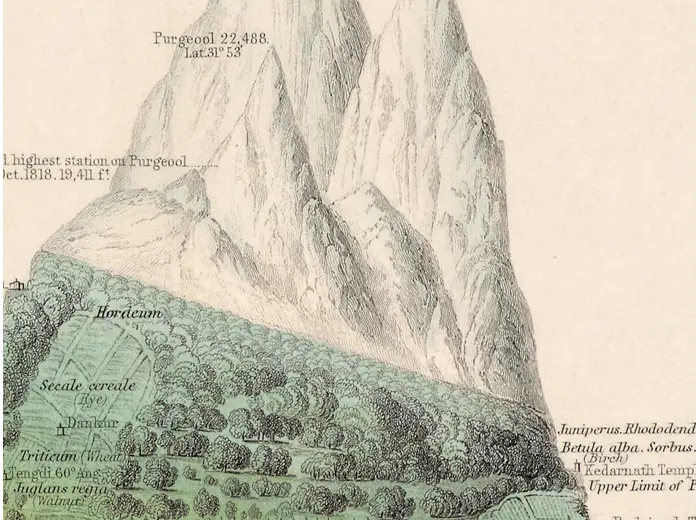 Antique World Map 1848 — Johnston, Botanical Geography — detail 3: himalaya profile