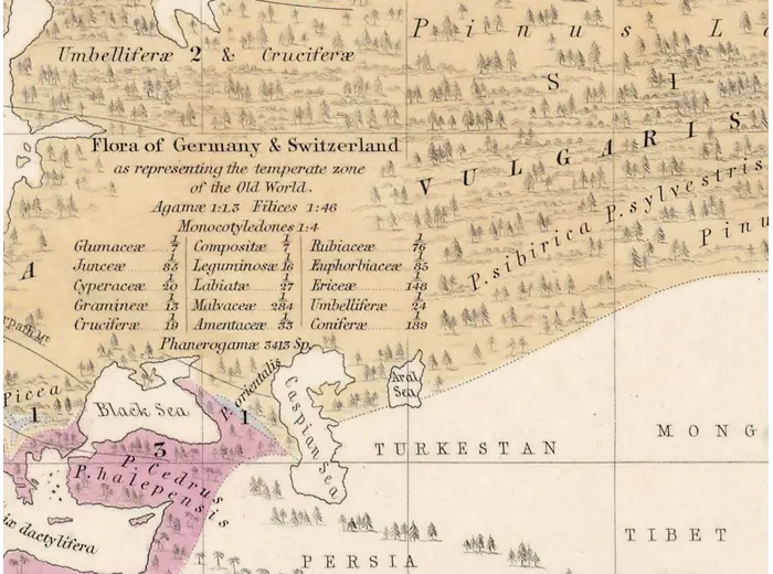 Antique World Map 1848 — Johnston, Botanical Geography — detail 4: europe asia regions