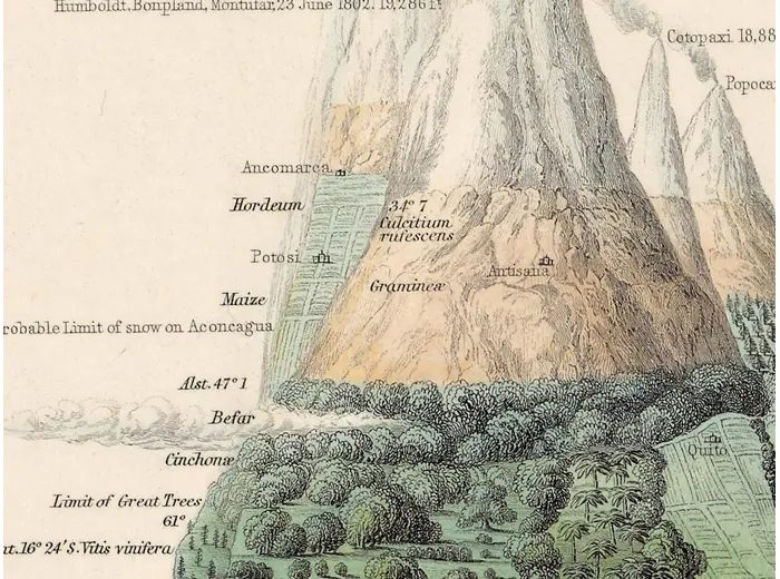 Antique World Map 1848 — Johnston, Botanical Geography — detail 6: andes profile colour