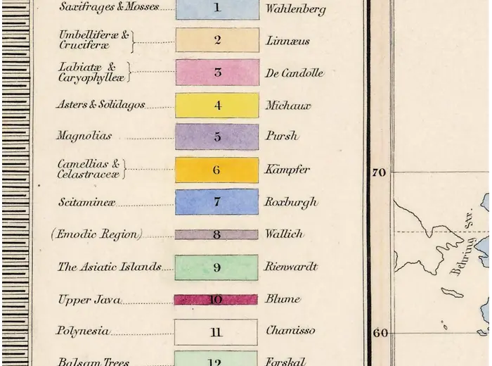 Antique World Map 1848 — Johnston, Botanical Geography — detail 7: synopsis schouw
