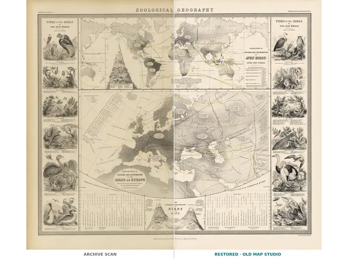 Antique World Map 1848 — Johnston, Zoological Geography — full sheet before and after restoration